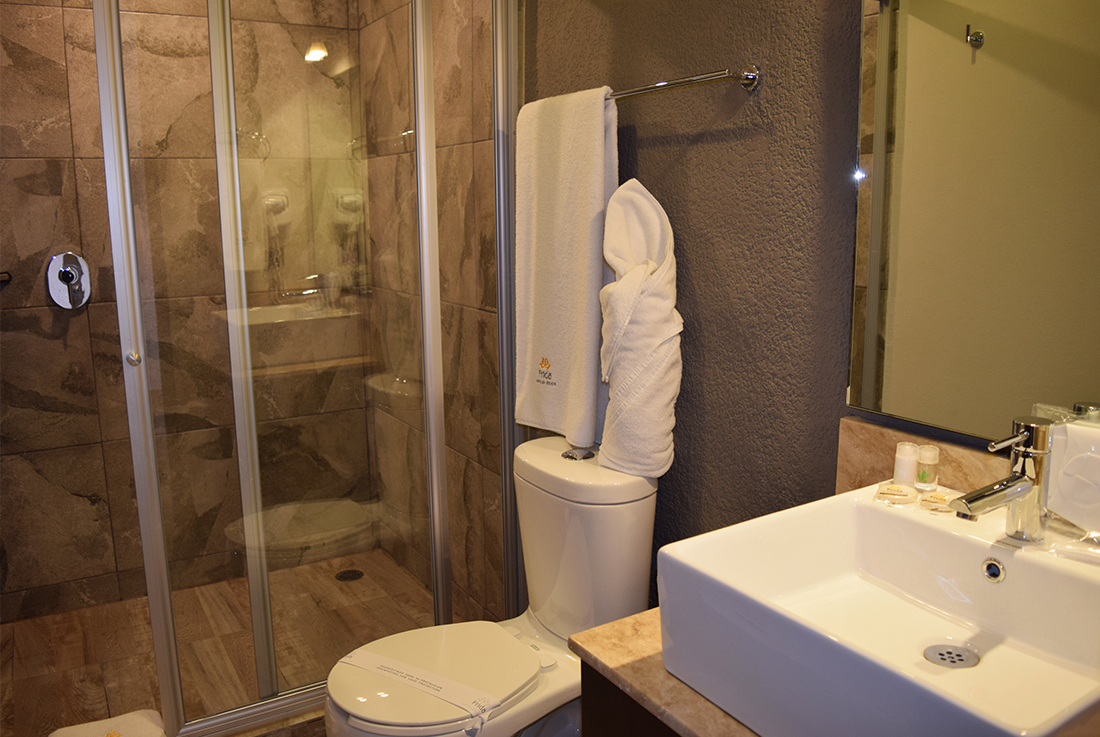 Galeria Hotel Frida